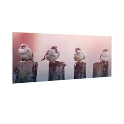 Tableau en verre | Fabriqué en France | 🤩 Déco et style dans la maison | Différentes tailles | Horizontal