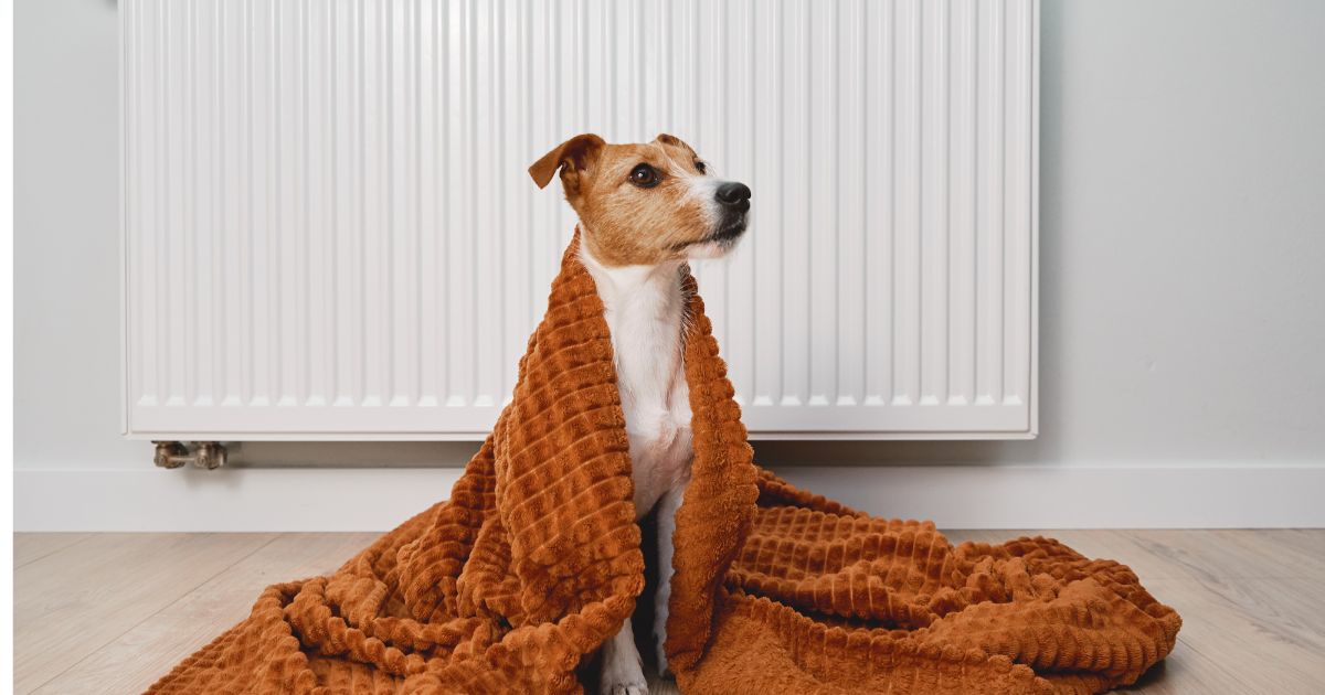 Comment choisir un radiateur pour son salon ?