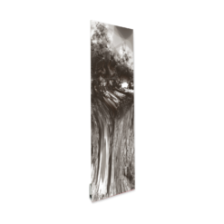 Radiateur Electrique Rayonnant Design | Chauffage économique 🔥 | Made in France | Storm
