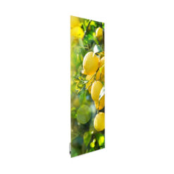 Radiateur Décoratif Design et Tendance | Chauffage Économique, Haute Performance & 32 Coloris 🔥 | Citronnier