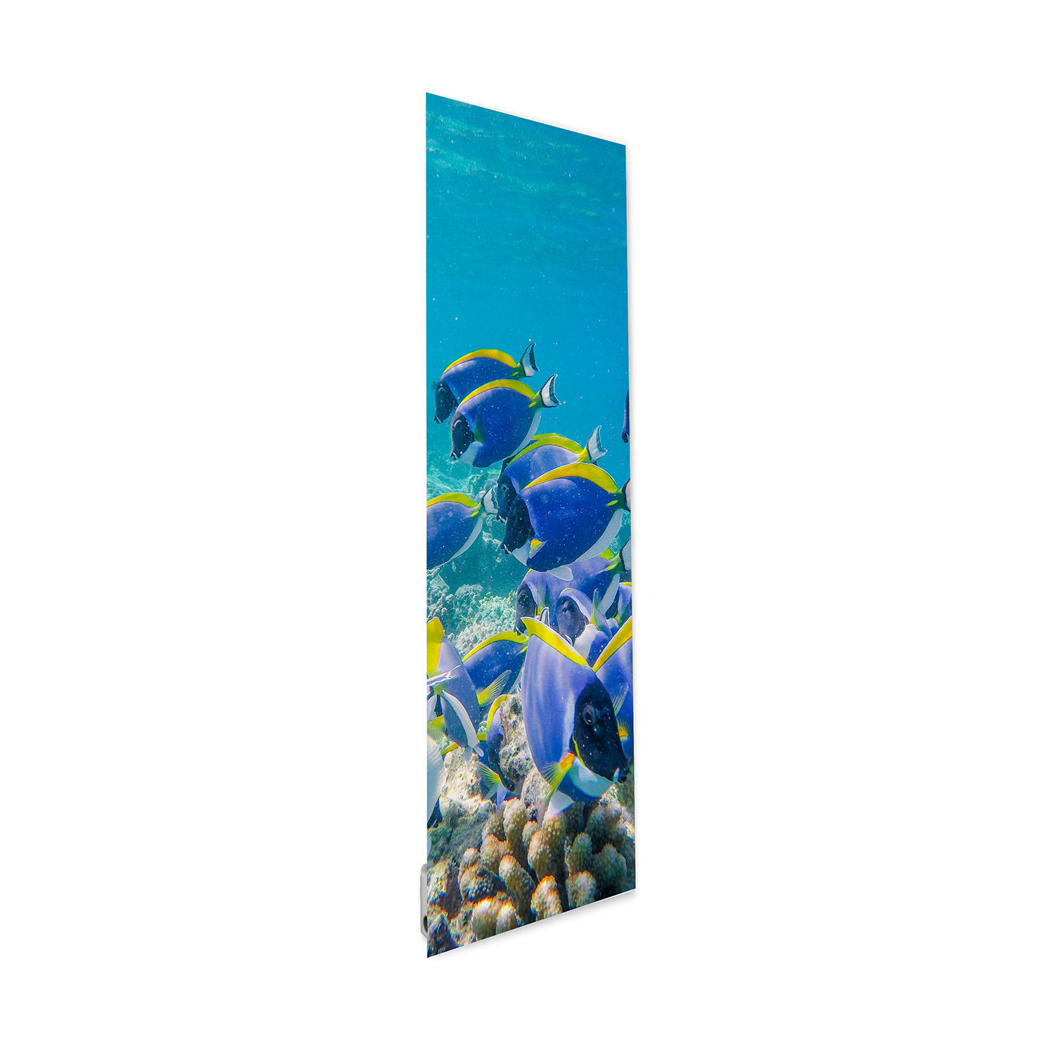 Radiateur Décoratif Design et Tendance | Chauffage Économique, Haute Performance & 32 Coloris 🔥 | Poissons