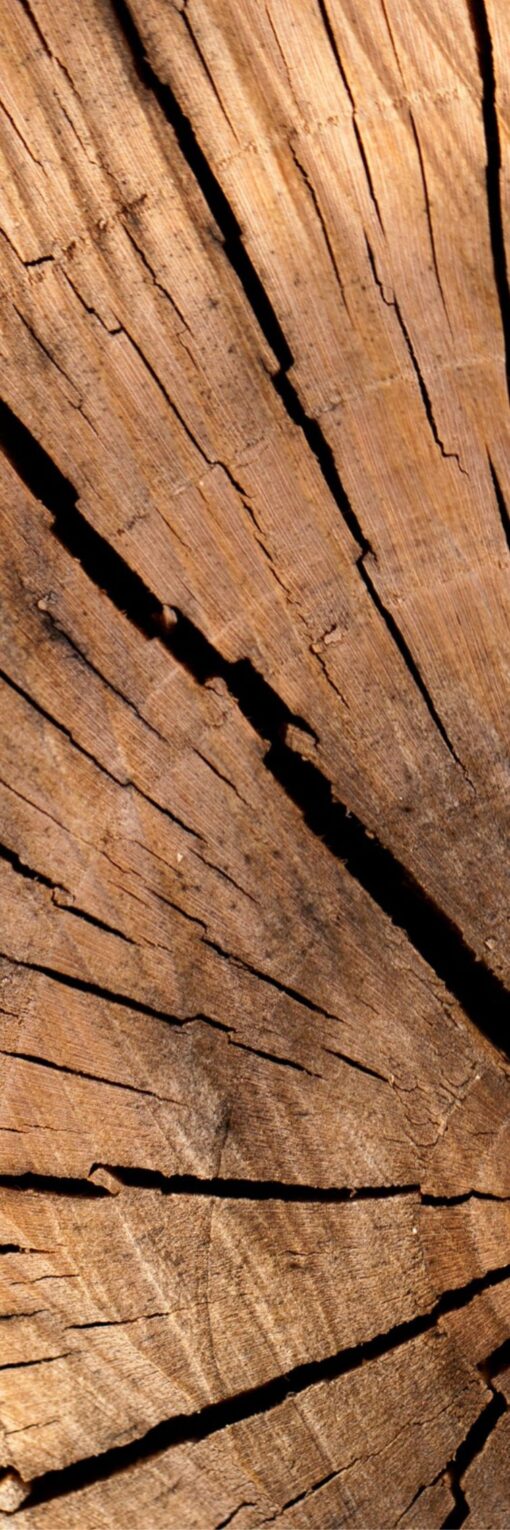 Radiateur Décoratif Design et Tendance | Chauffage Économique, Haute Performance & 32 Coloris 🔥 | Coupe de bois – Image 2
