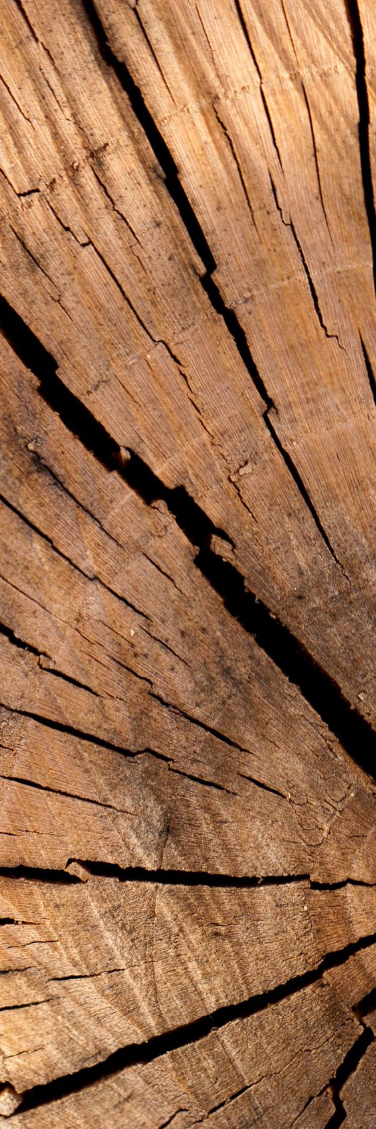 🔥 Radiateur Décoratif Design Extra Plat | Performance & Économie | 32 Coloris Tendance | Coupe de bois
